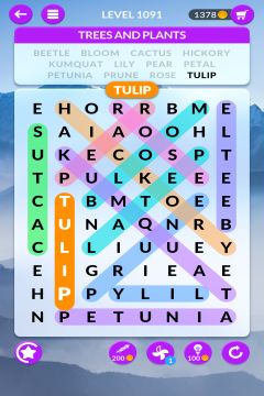 wordscapes search level 1091