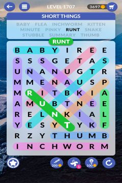 wordscapes search level 1707