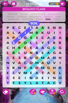 wordscapes search level 1724