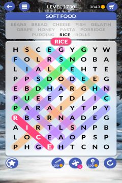 wordscapes search level 1730