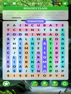 wordscapes search level 832