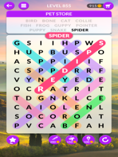 wordscapes search level 855